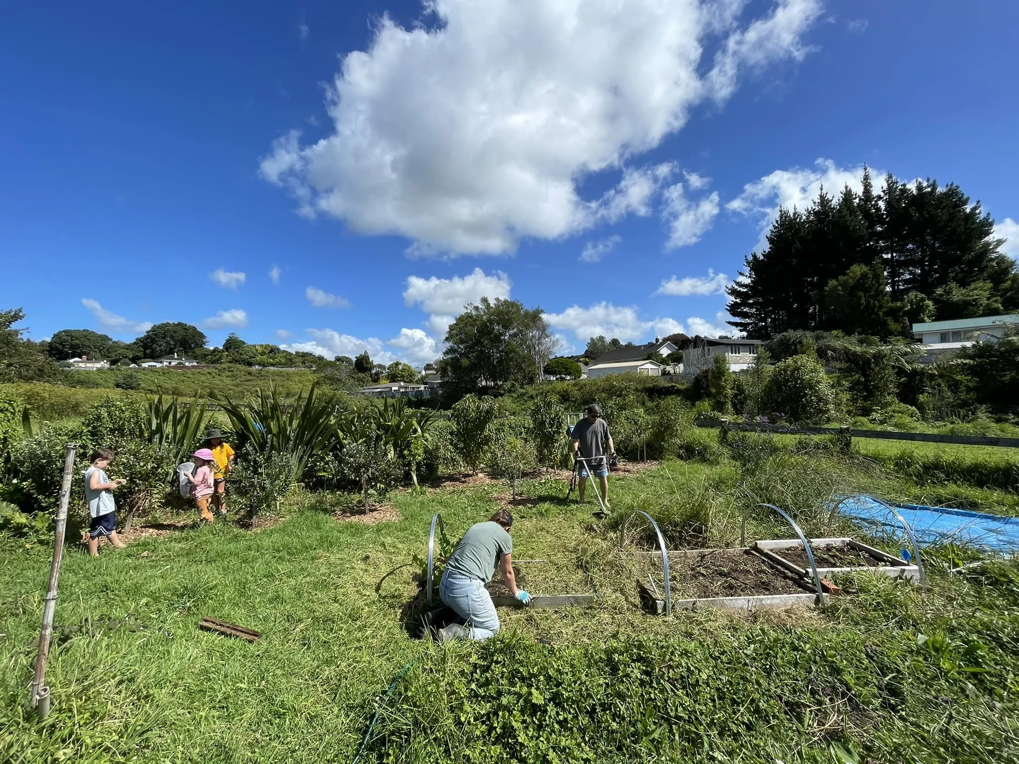 Marfell Community Garden working bee.jpeg