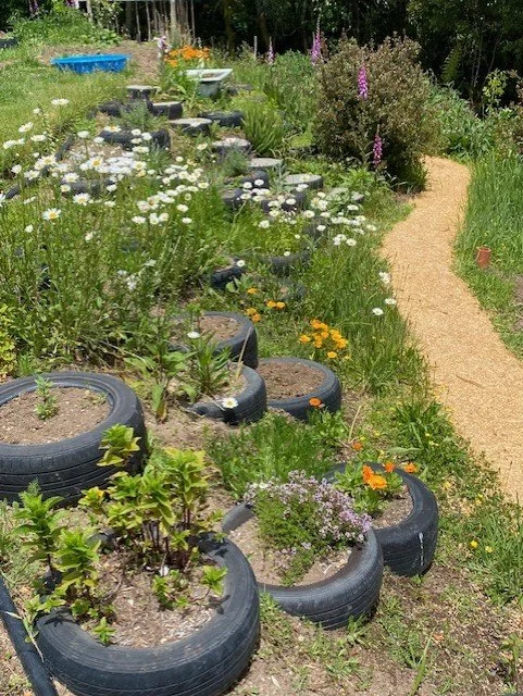 The Medicine Garden .jpeg