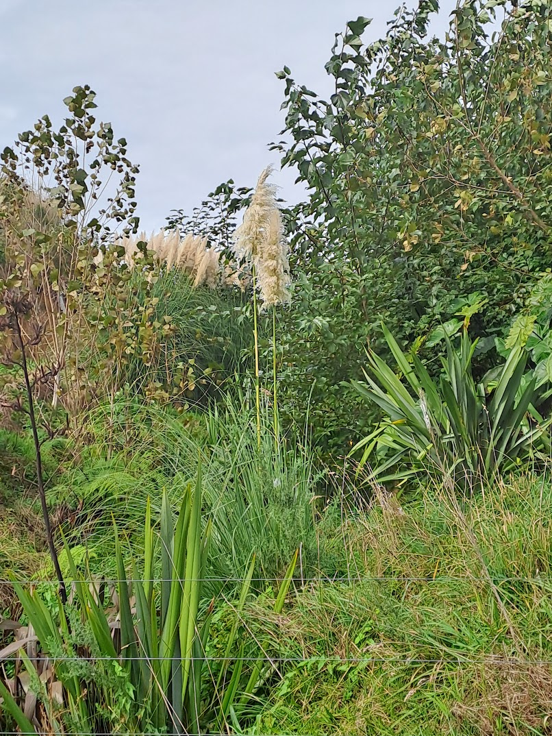 Silk Farm_thumbnail_image (2).png