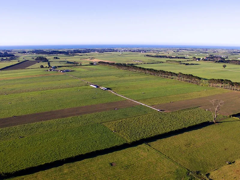 Waimate-West-New.jpg