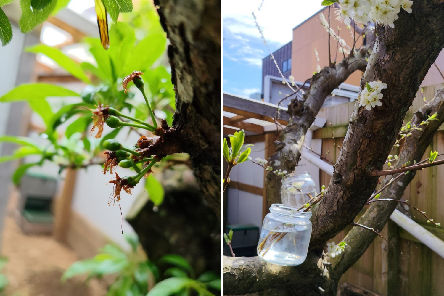 TIPS &amp; TO-DOS FROM SPRING