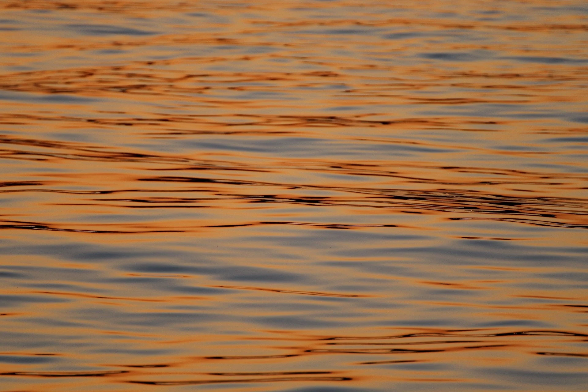water-3391063_1920.jpg
