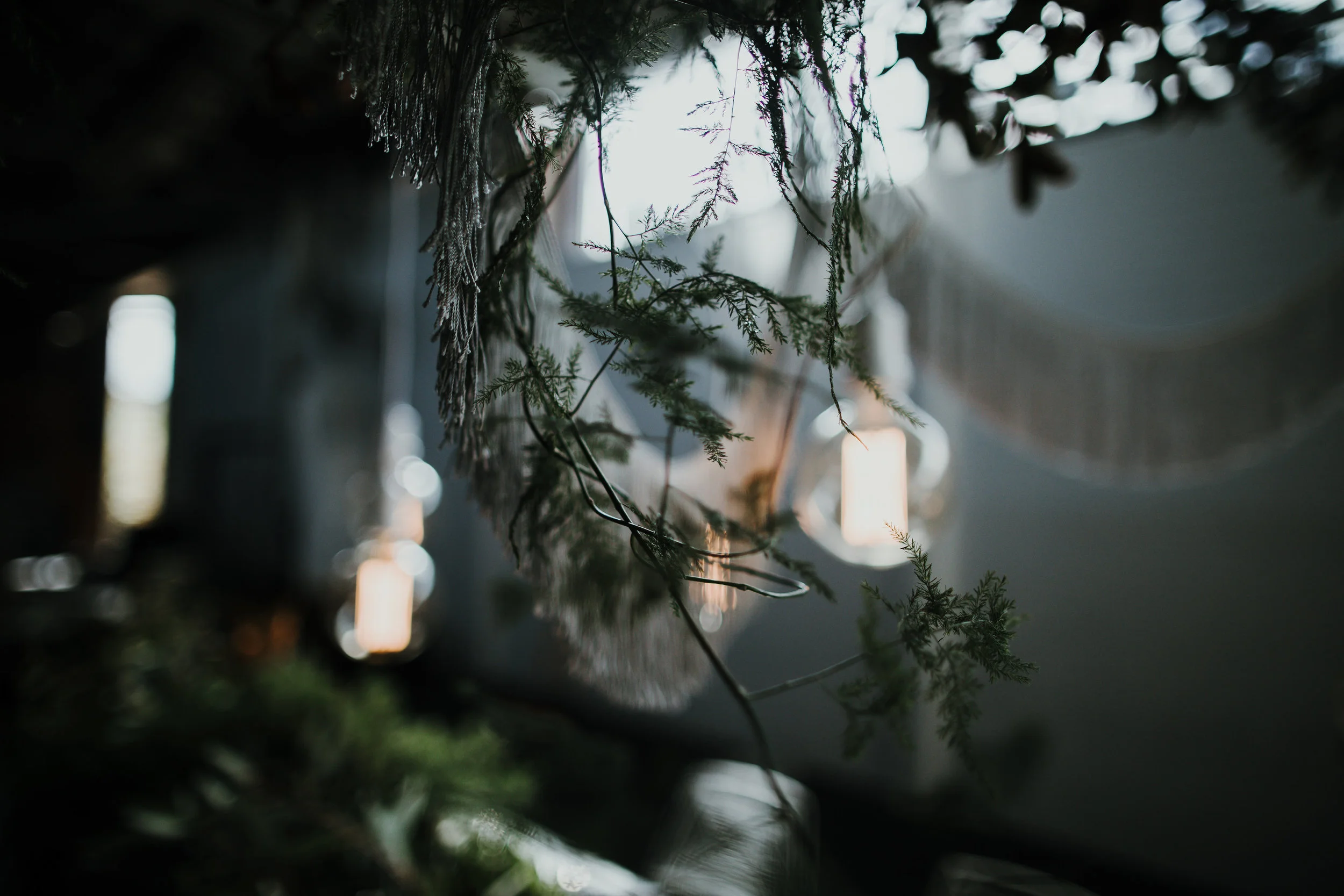 picklefactorystyledjuly2017(12of217).jpg