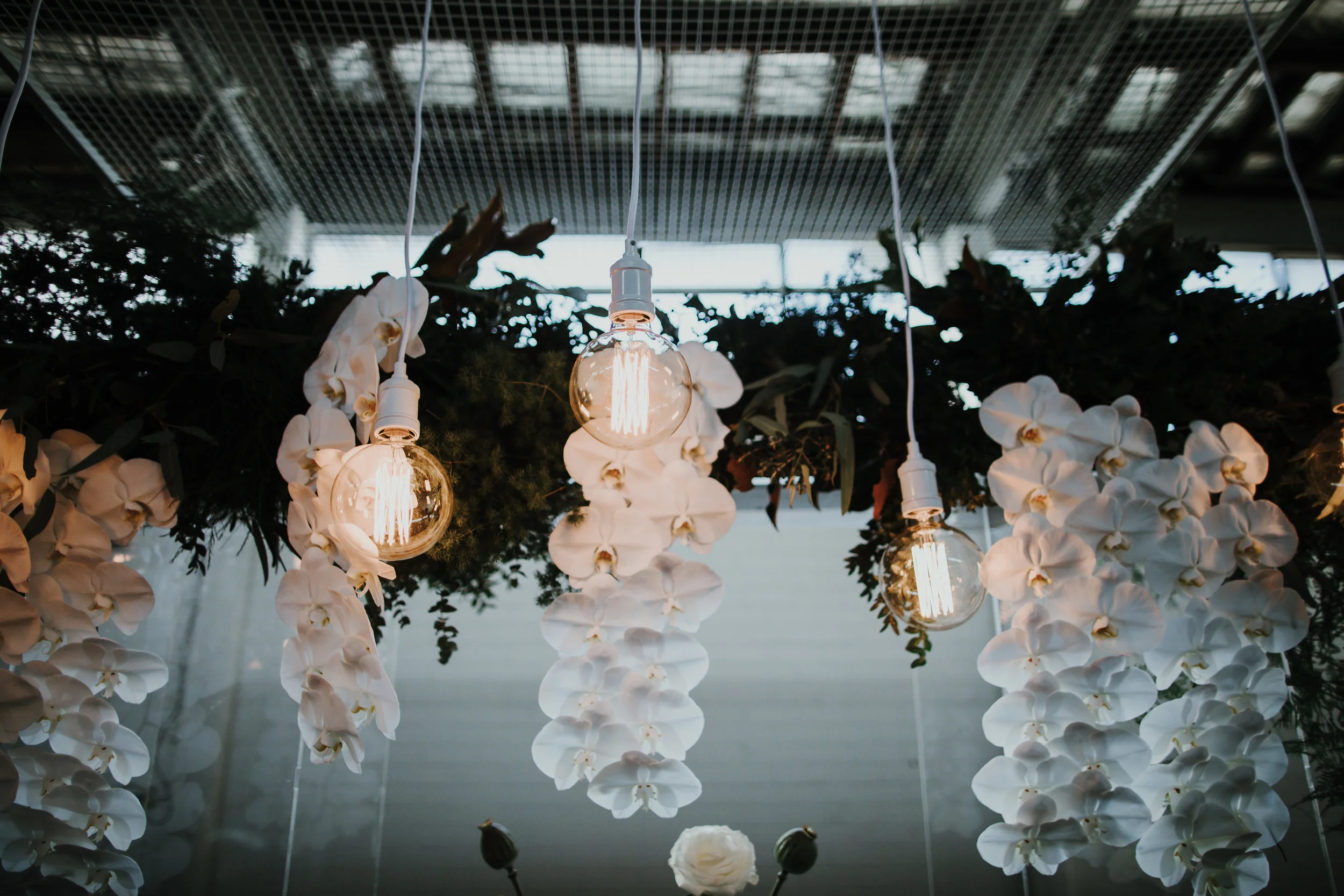 picklefactorystyledjuly2017(148of217).jpg