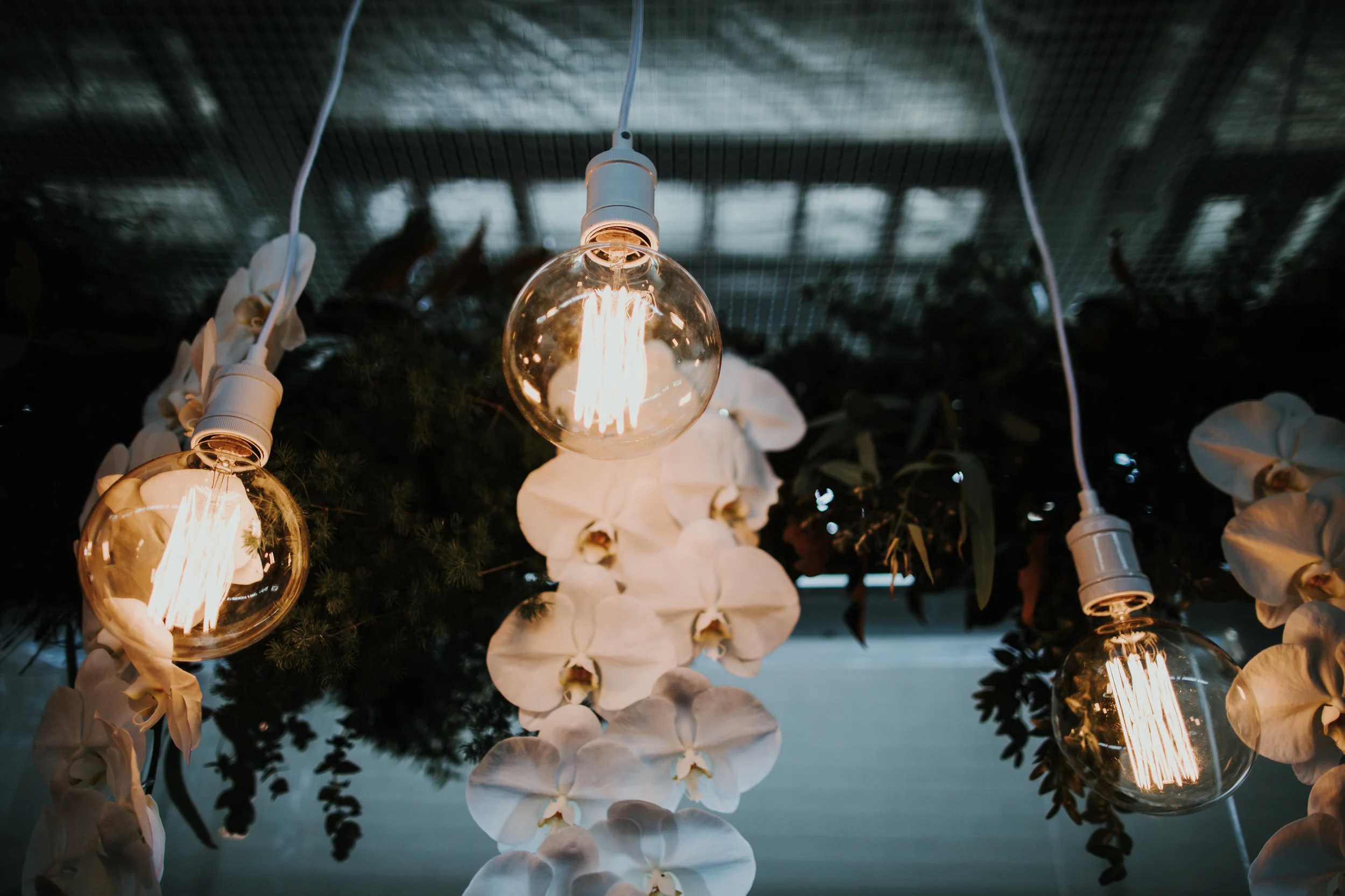 picklefactorystyledjuly2017(155of217).jpg