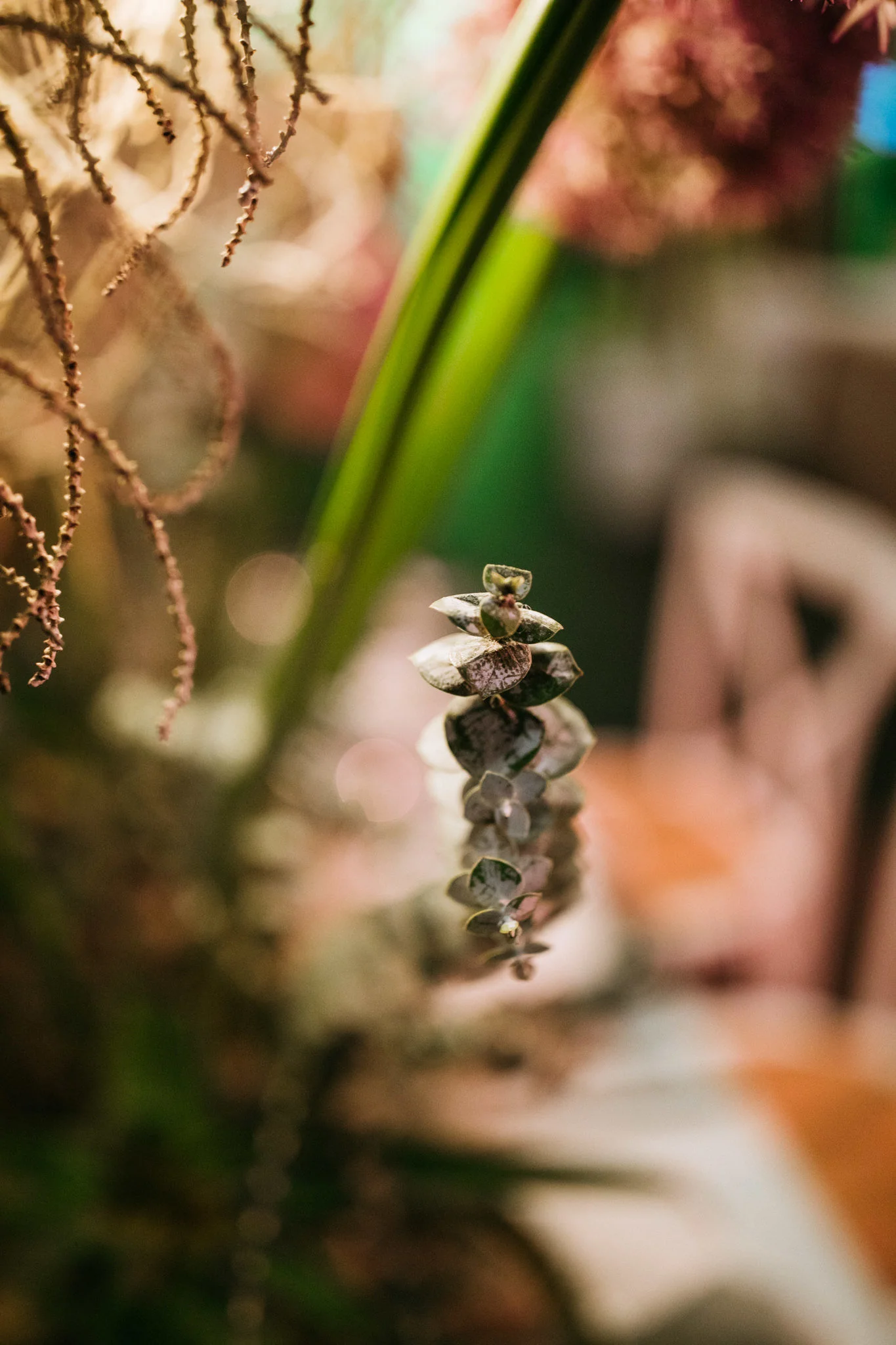 Old_Pickle_Factory_Perth_Wedding_Venue_Kate_Drennan_Photography-77.jpg