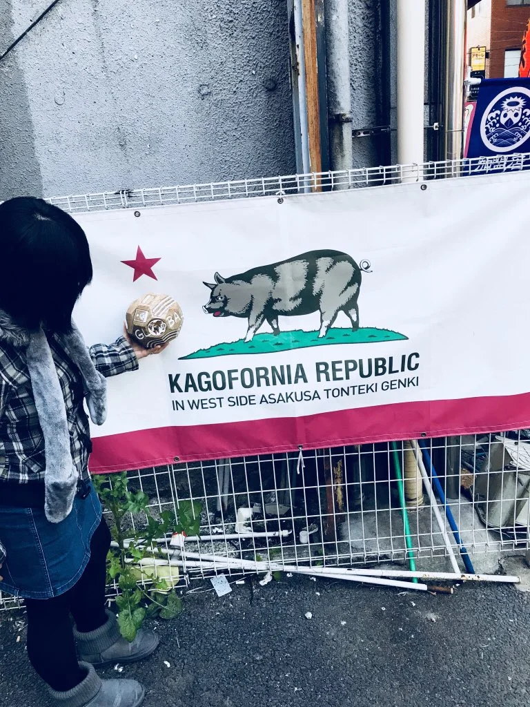 Seiko feeds the pig! (pigs are smart)