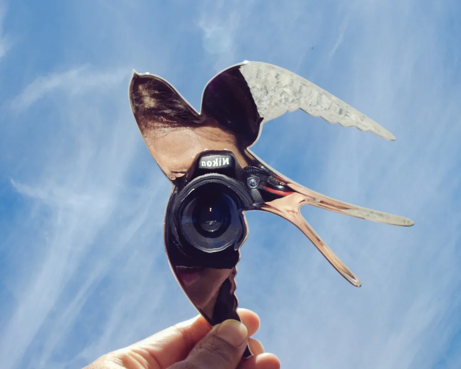 30 Day Photo Challenge Week 2