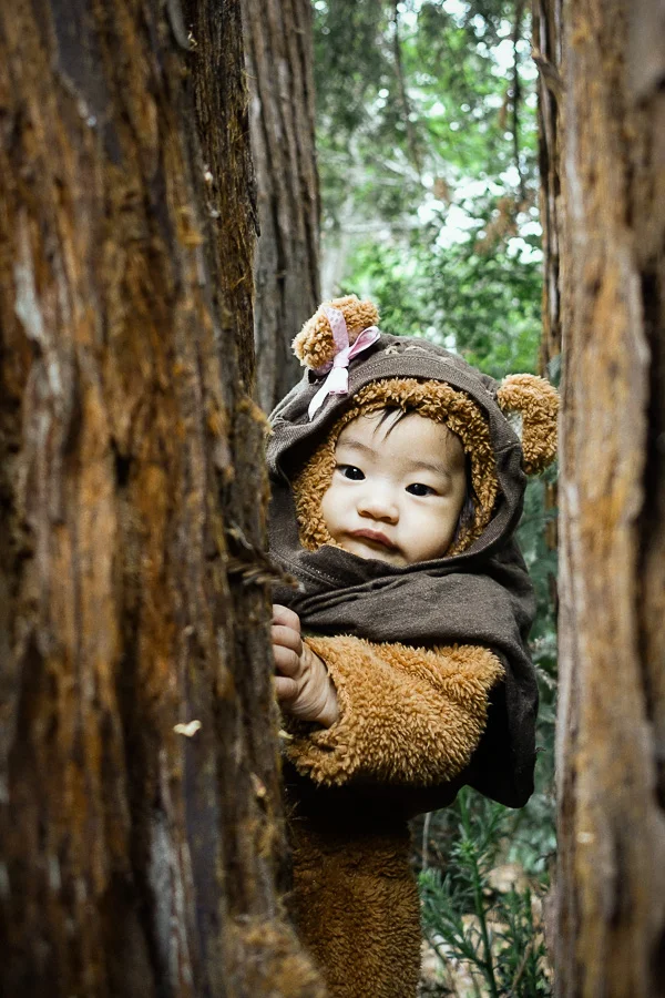 May the 4th be with you