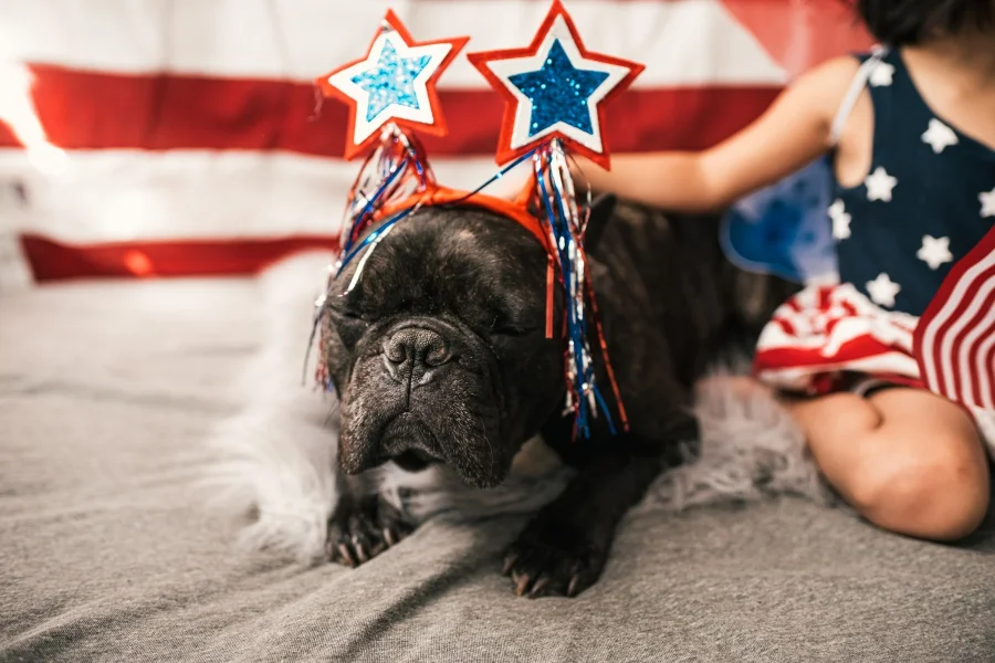 4th of July flag photoshoot 13.jpg
