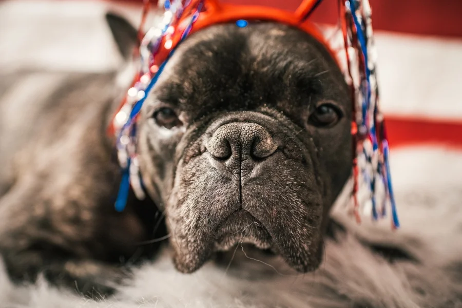 4th of July flag photoshoot 15.jpg