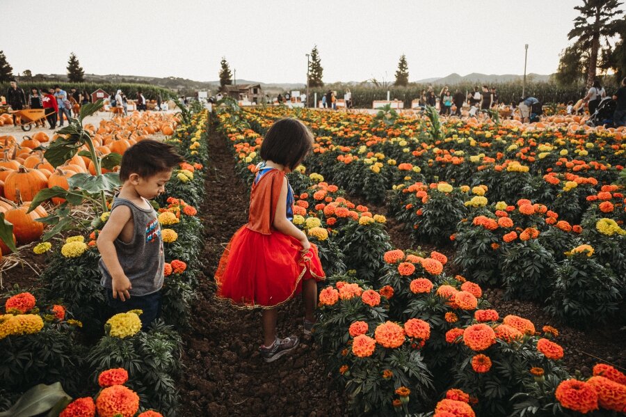 A VISIT TO UESUGI FARMS 17.jpg