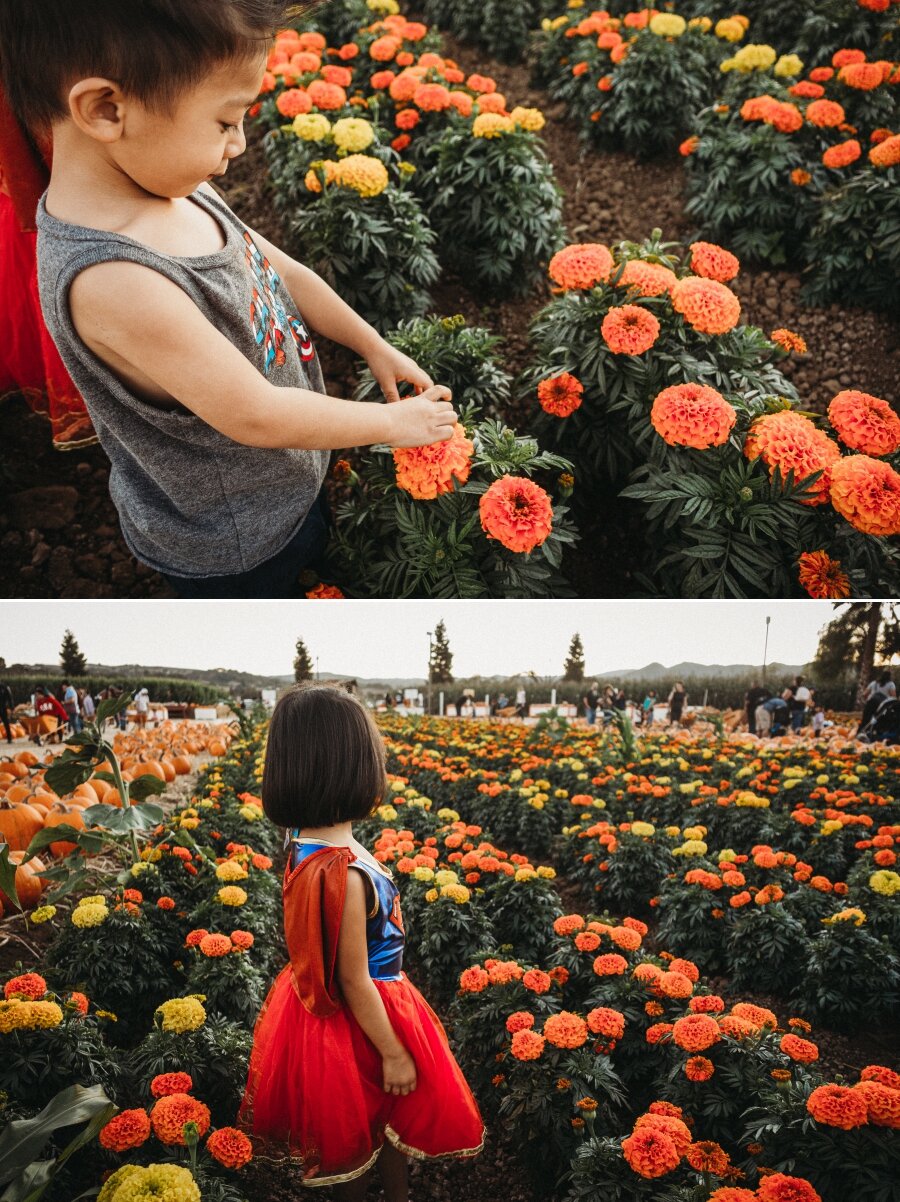 A VISIT TO UESUGI FARMS 18.jpg