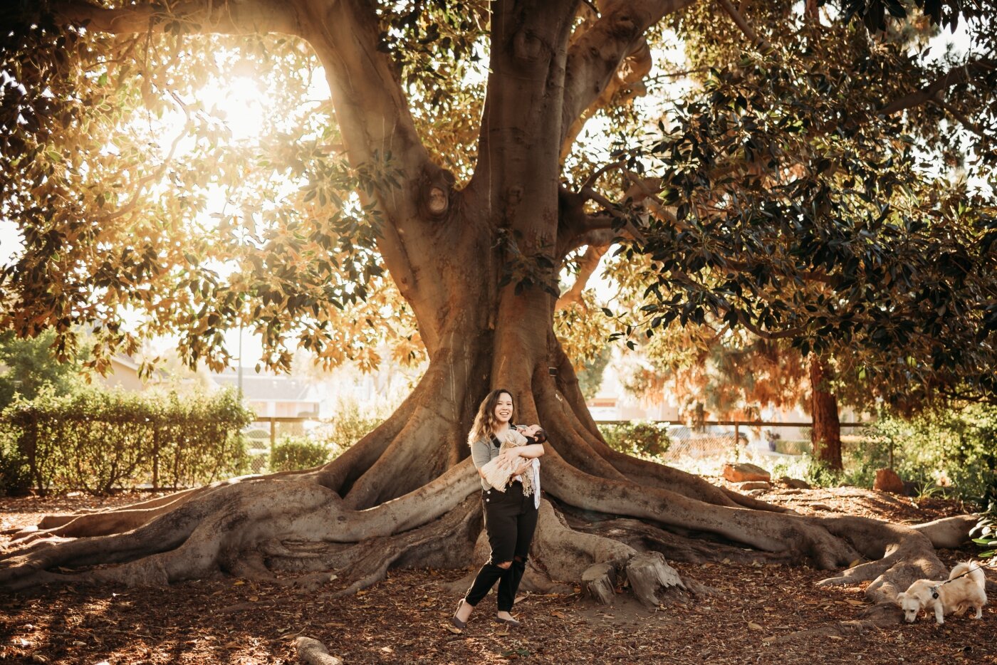 BABY KENT AT SHINN PARK BAY AREA LIFESTYLE PHOTOGRAPHY 37.jpg