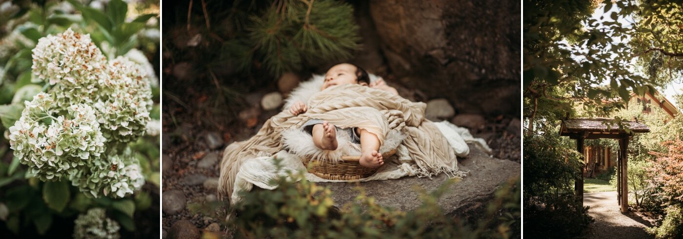 BABY KENT AT SHINN PARK BAY AREA LIFESTYLE PHOTOGRAPHY 13.jpg