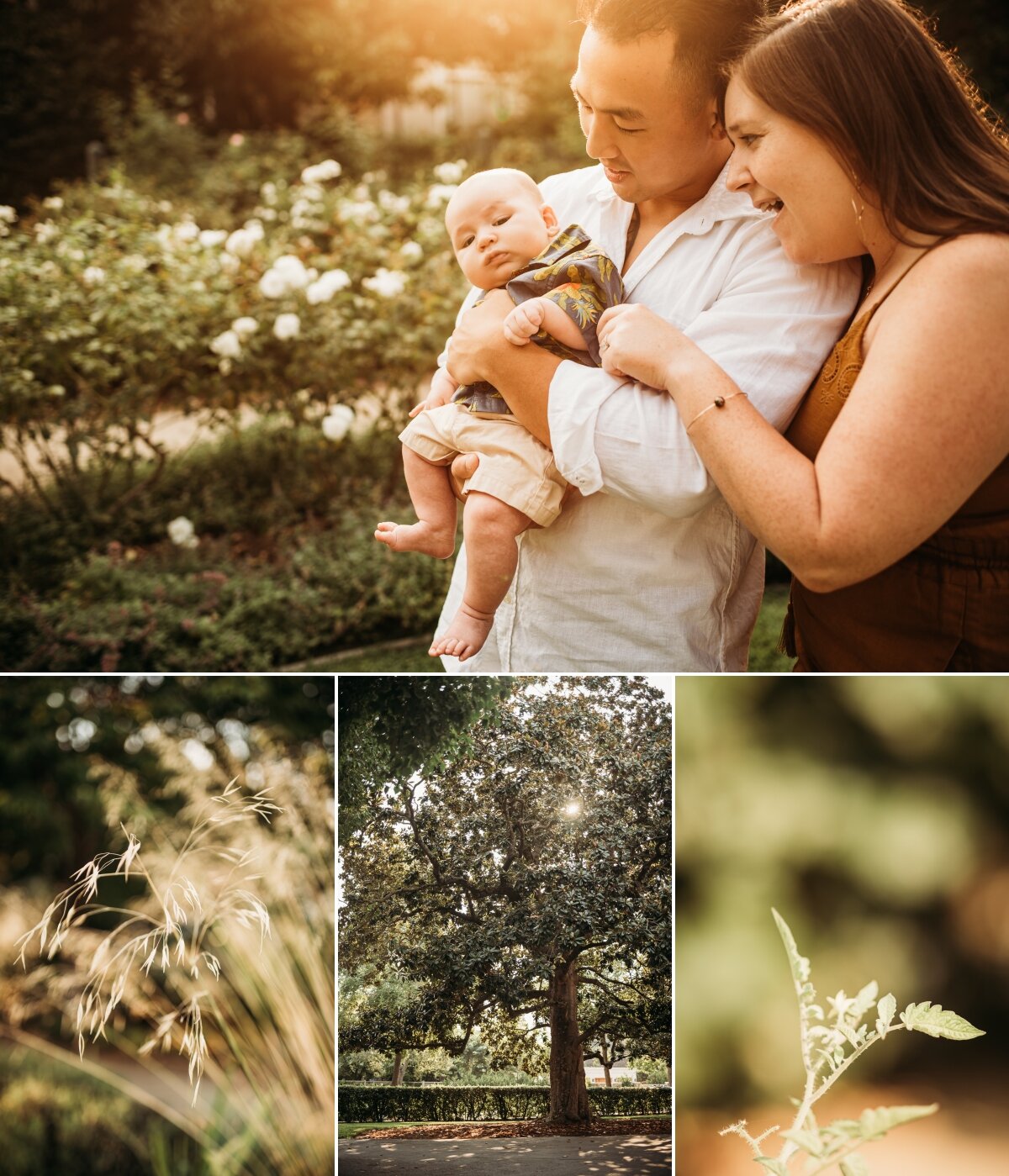 Baby Wade at Gamble Gardens - Palo Alto Newborn Lifestyle Photographer 19.jpg