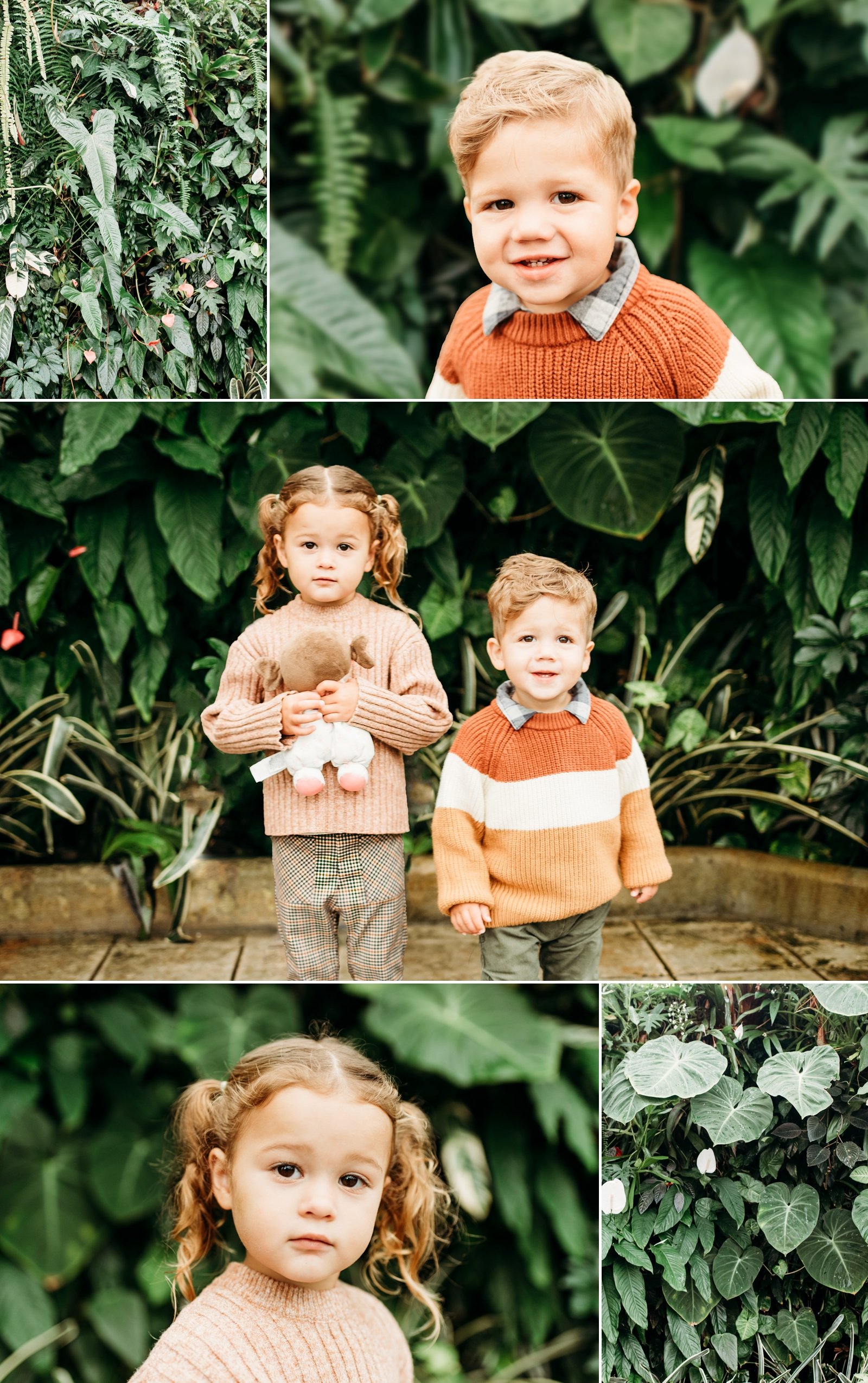 Family Photoshoot at the San Francisco Conservatory of Flowers Bay Area Family Photographer Young Soul Photography 5.jpg