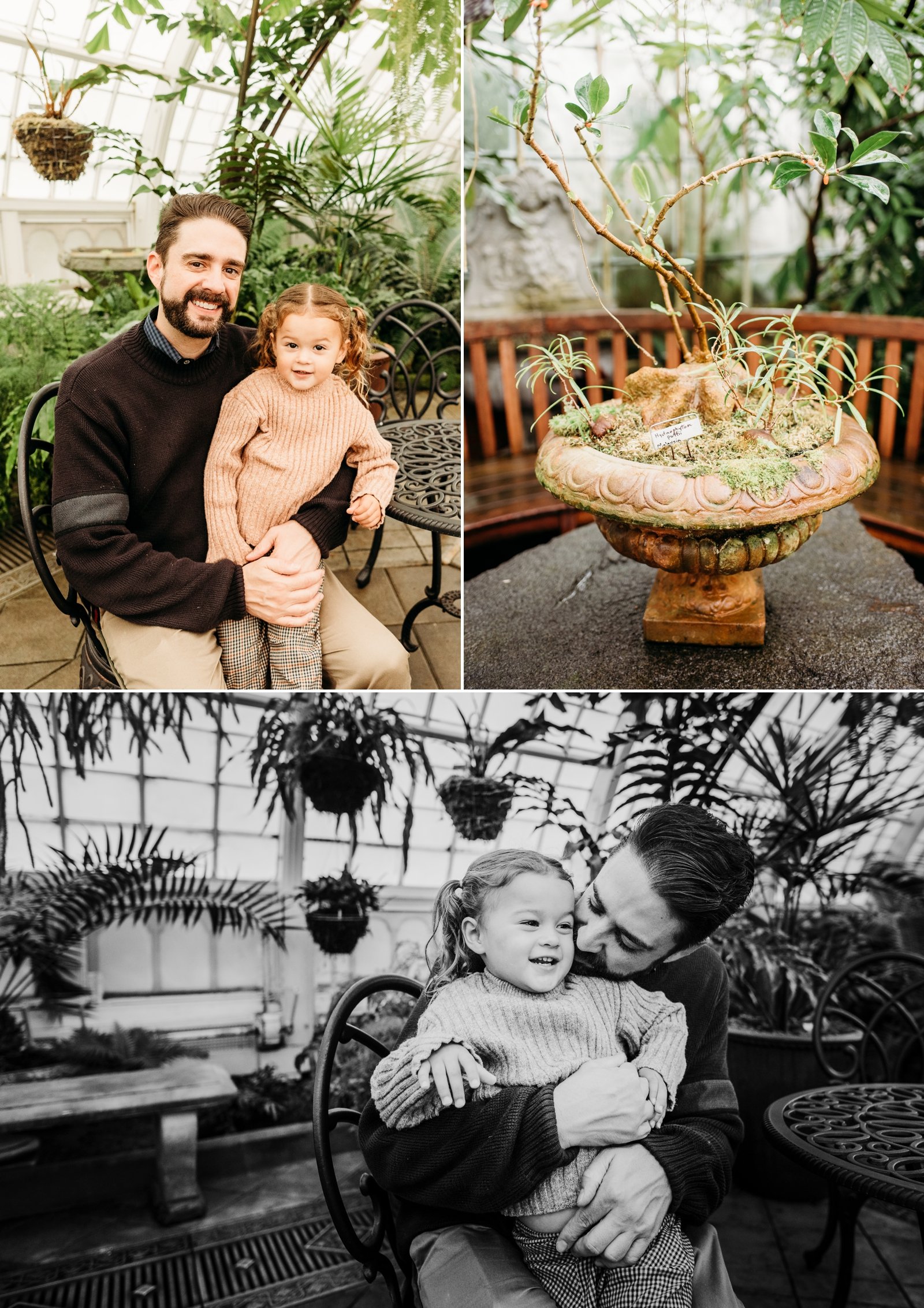 Family Photoshoot at the San Francisco Conservatory of Flowers Bay Area Family Photographer Young Soul Photography 9.jpg