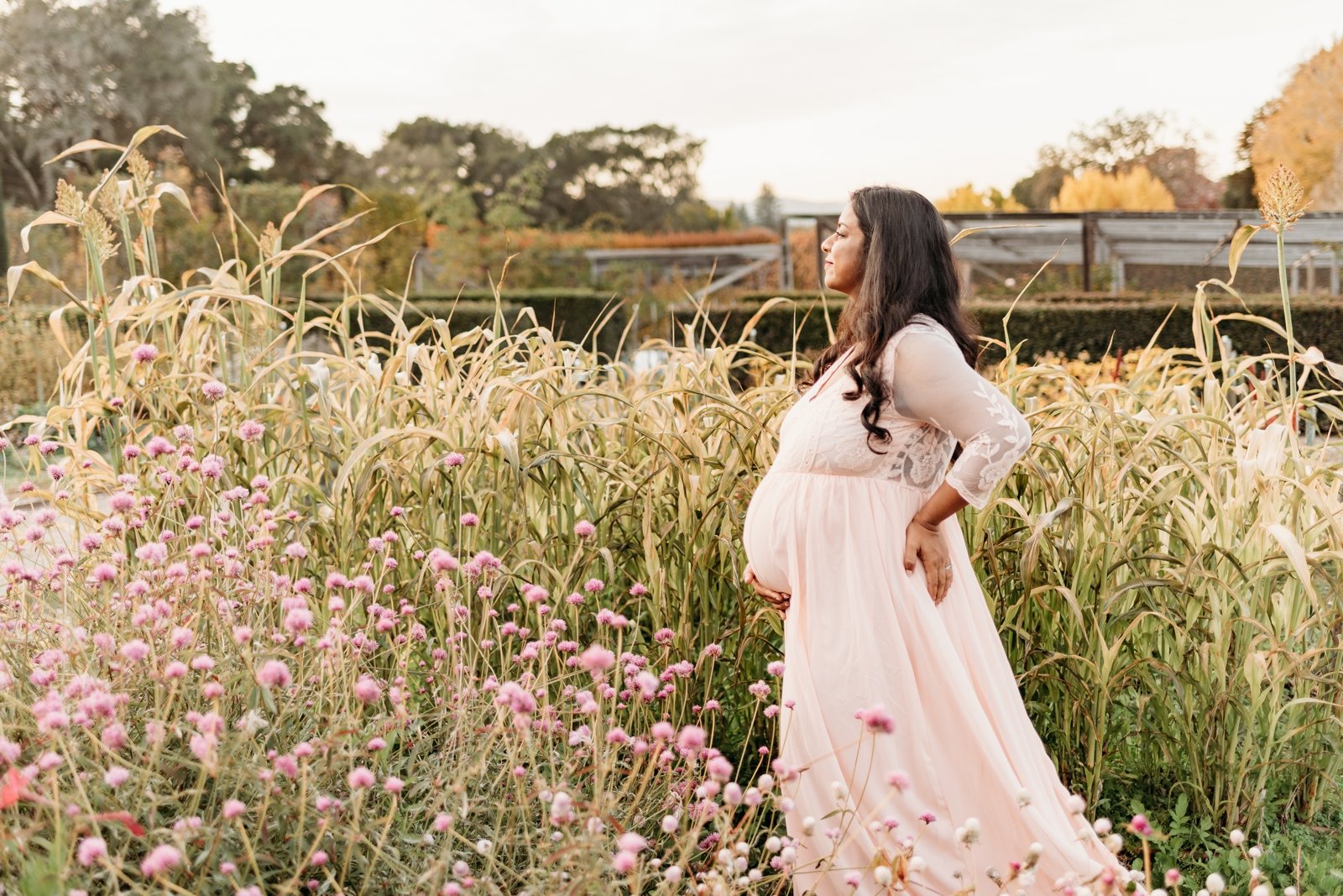 Maternity Photoshoot at Filoli Estate and Gardens Bay Area Maternity Photographer Fall at Filoli 35.jpg