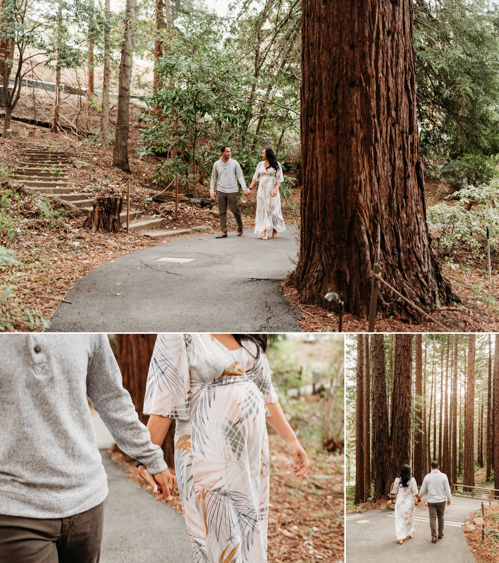 UC Berkeley Botanical Gardens Redwood Amphitheatre Maternity Photoshoot Session East Bay Maternity Family Photographer Young Soul Photography 3.jpg