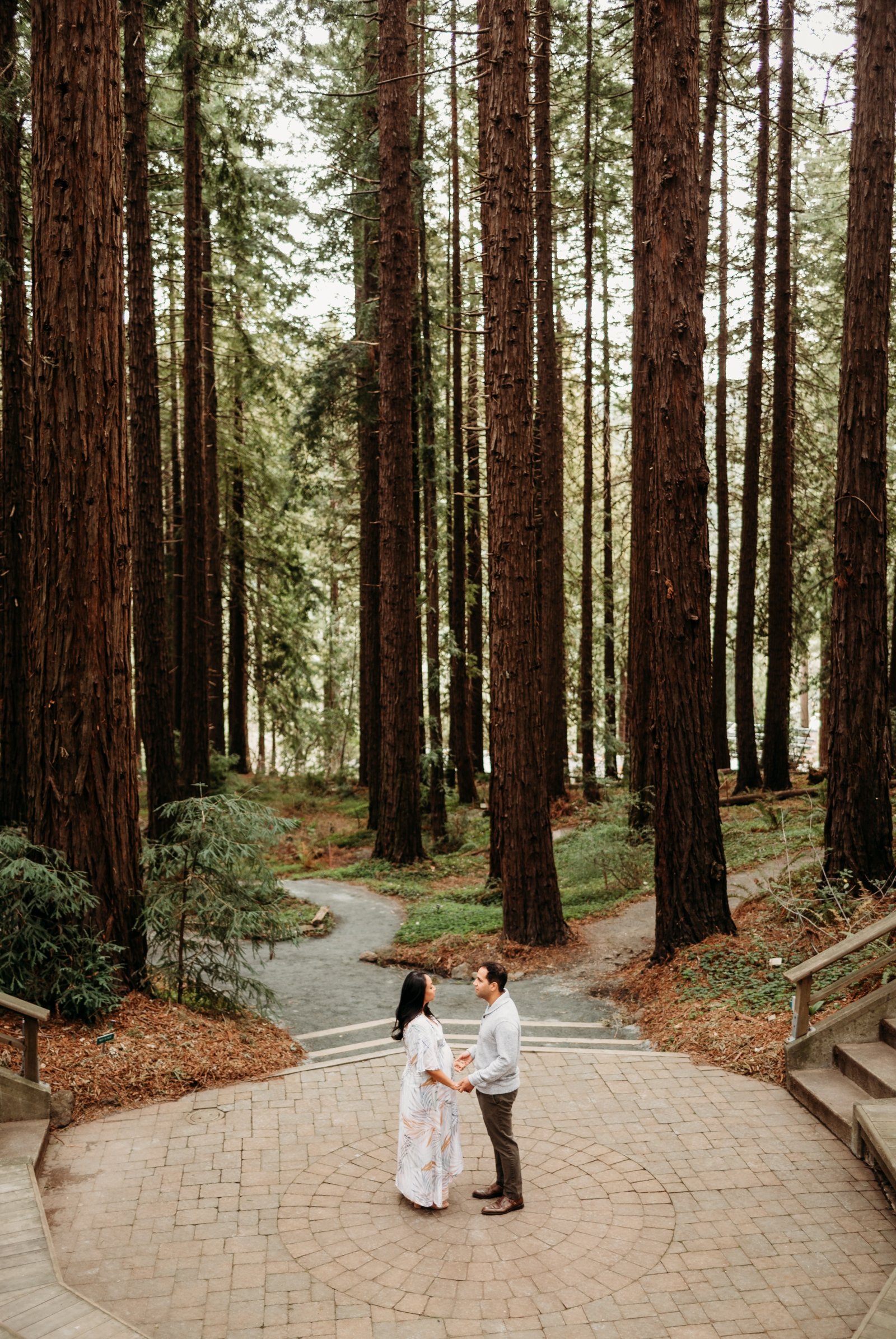 UC Berkeley Botanical Gardens Redwood Amphitheatre Maternity Photoshoot Session East Bay Maternity Family Photographer Young Soul Photography 12.jpg