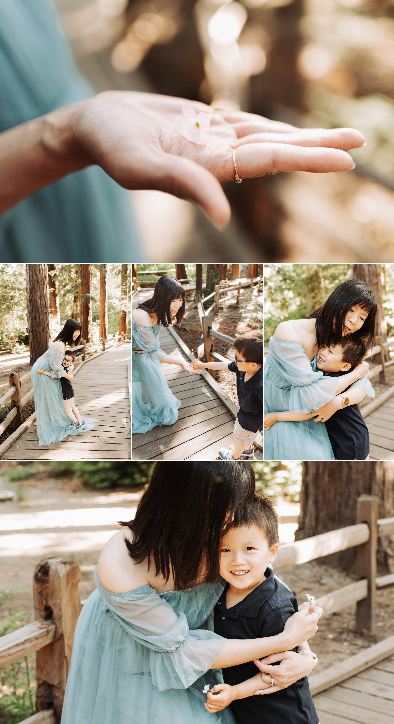 south bay family photographer san jose maternity photography los altos redwoods photoshoot 2.jpg