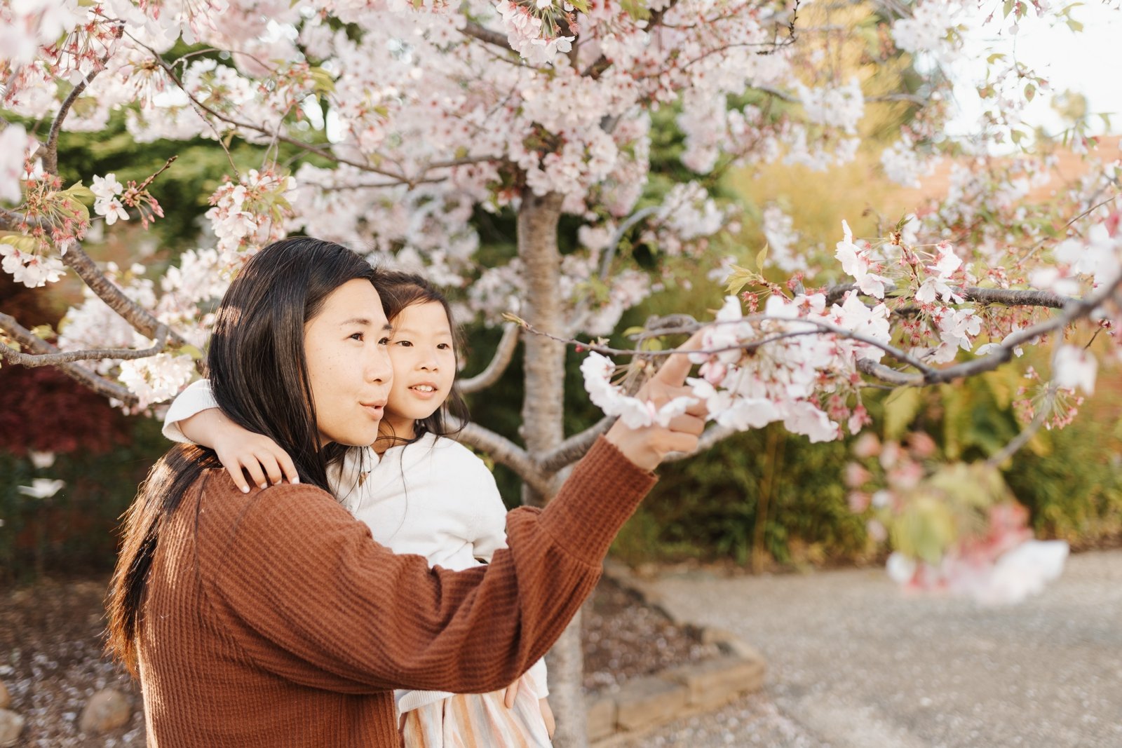 bay area cherry blossom photoshoot family photographer young soul photography  5.jpg