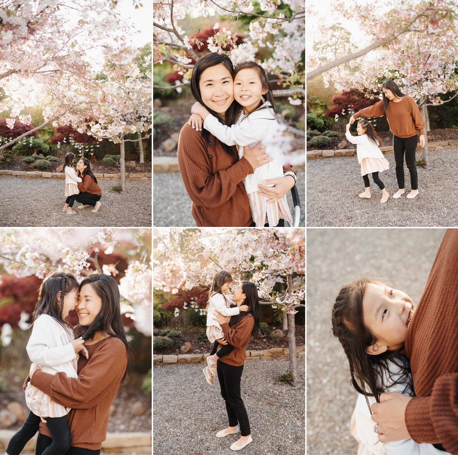 bay area cherry blossom photoshoot family photographer young soul photography  6.jpg