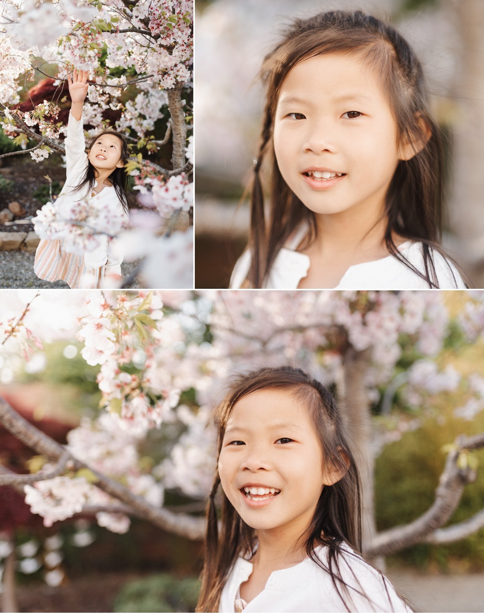 bay area cherry blossom photoshoot family photographer young soul photography  8.jpg