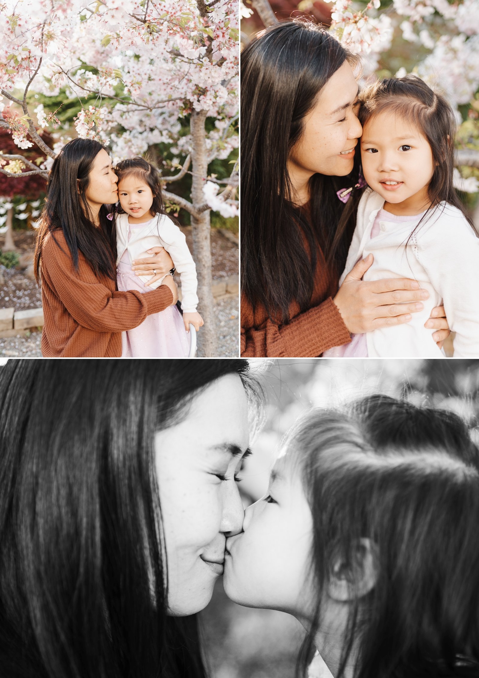 bay area cherry blossom photoshoot family photographer young soul photography  12.jpg