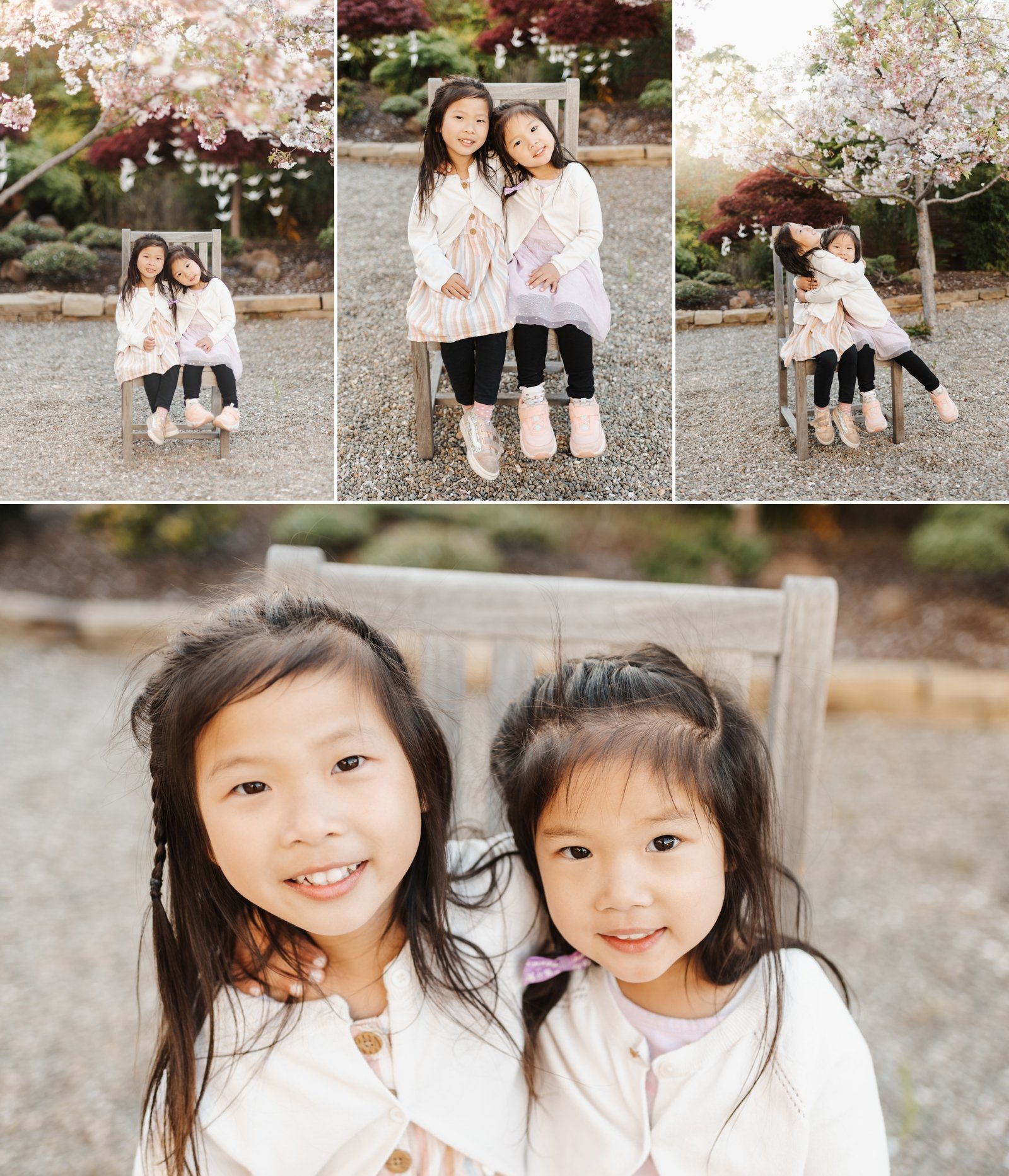 bay area cherry blossom photoshoot family photographer young soul photography  17.jpg