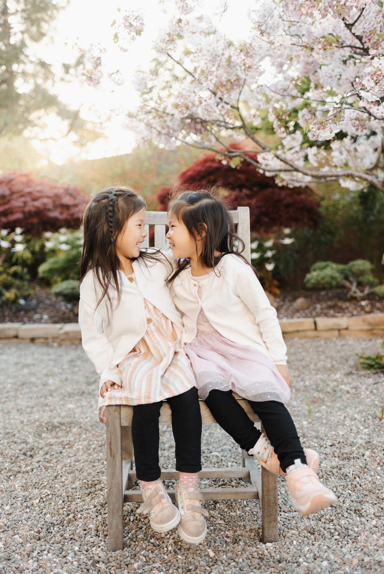 bay area cherry blossom photoshoot family photographer young soul photography  18.jpg