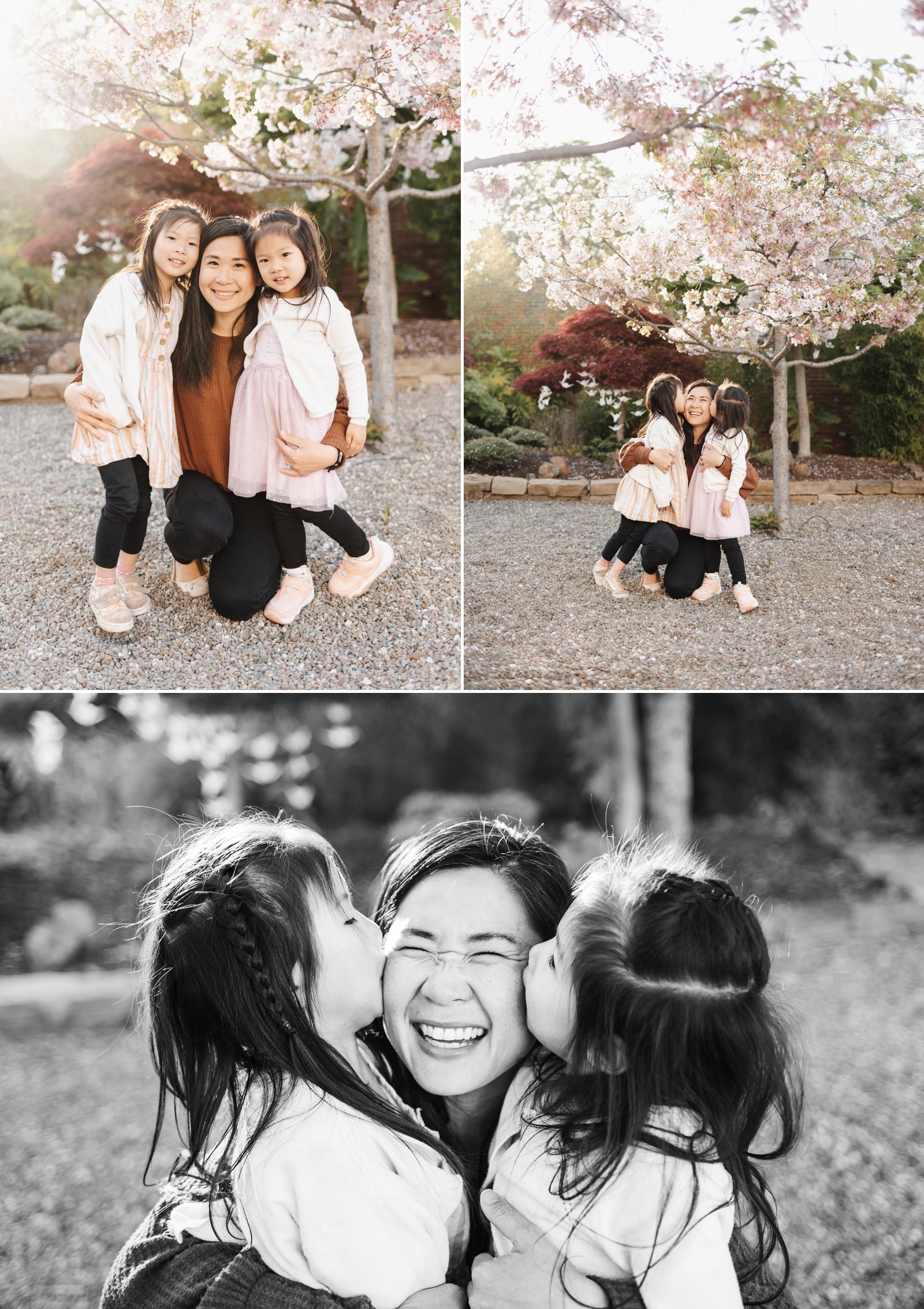 bay area cherry blossom photoshoot family photographer young soul photography  20.jpg