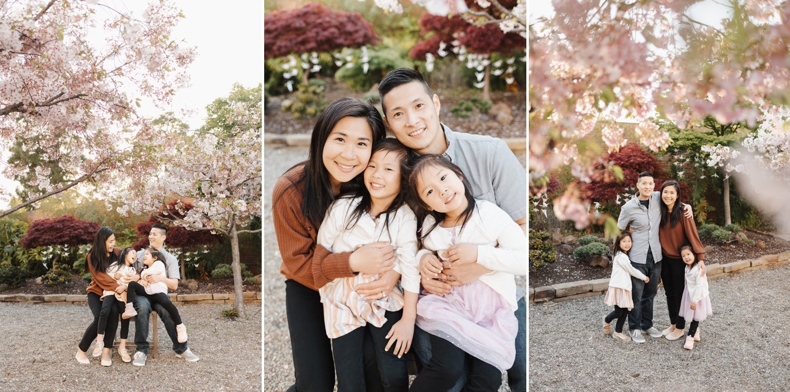 bay area cherry blossom photoshoot family photographer young soul photography  26.jpg