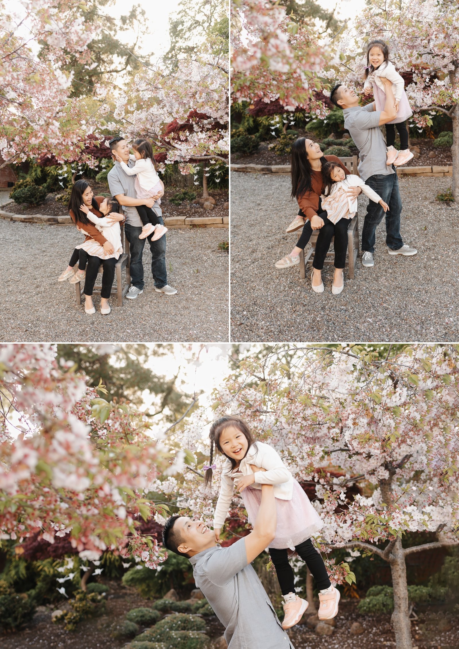 bay area cherry blossom photoshoot family photographer young soul photography  28.jpg