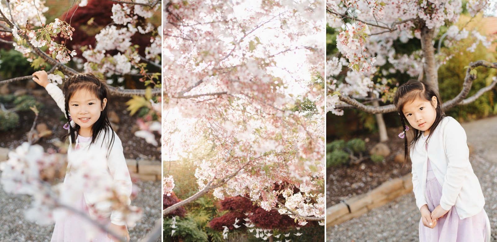 bay area cherry blossom photoshoot family photographer young soul photography  14.jpg