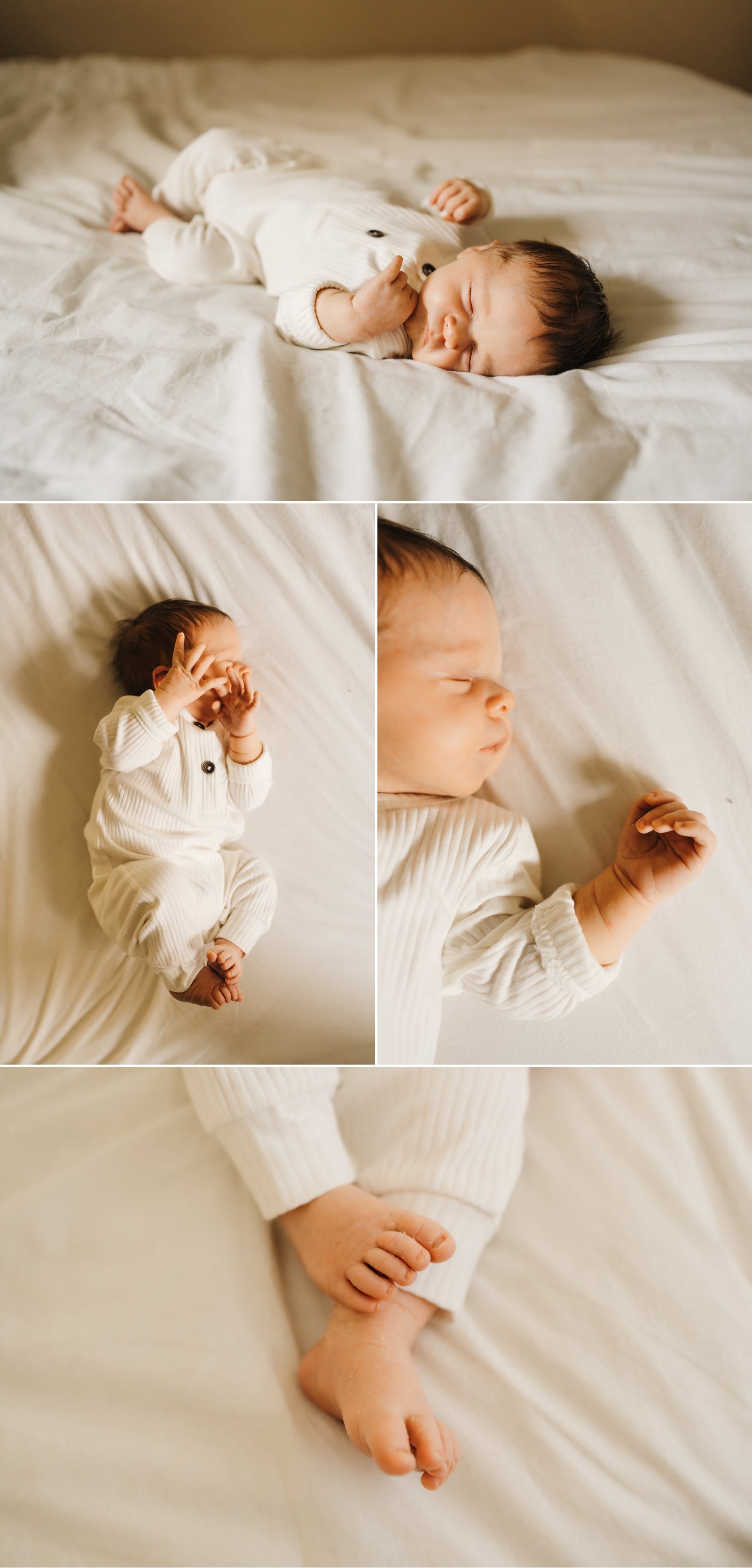 palo alto newborn photographer 11.jpg