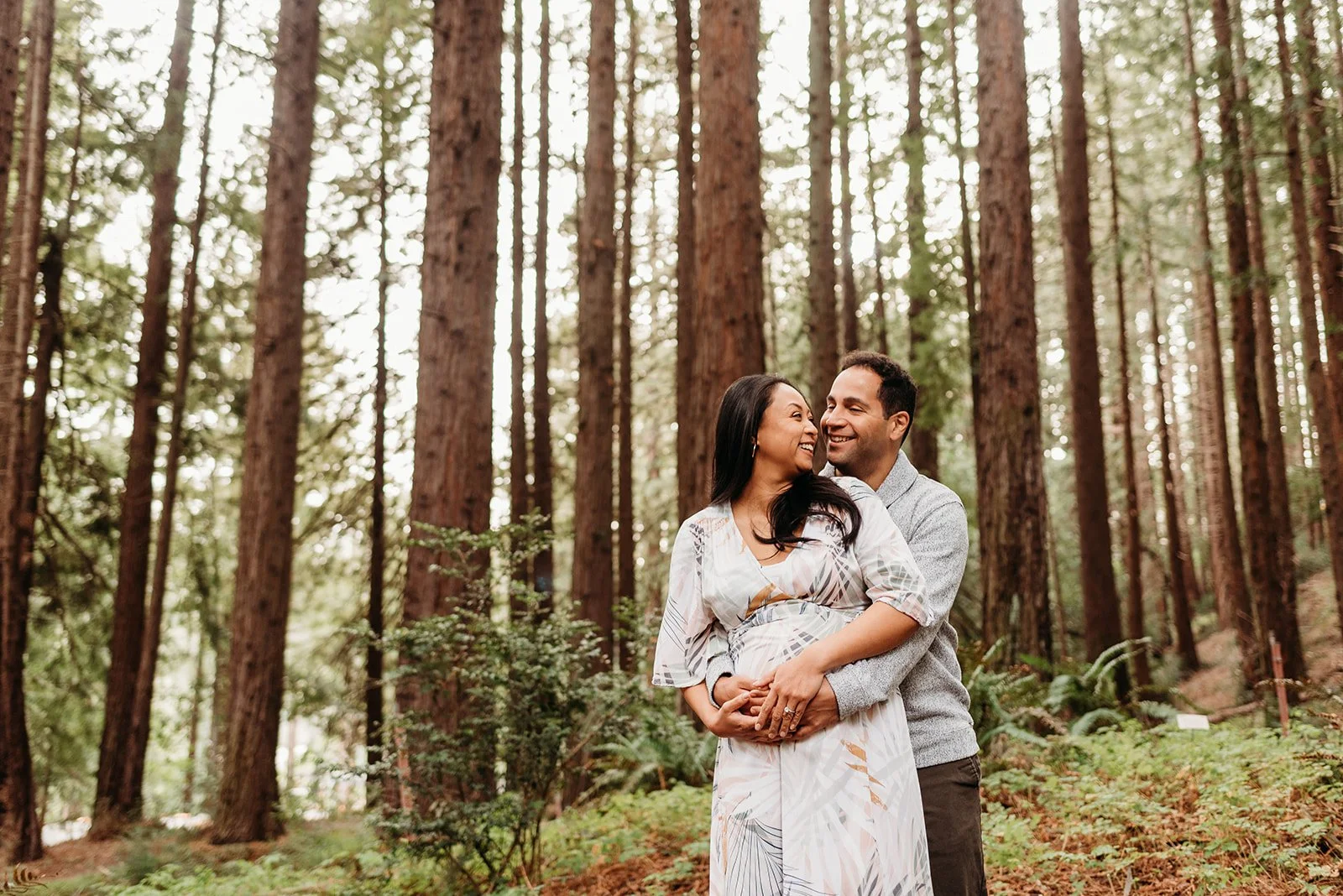 uc berkeley botanical gardens redwoods