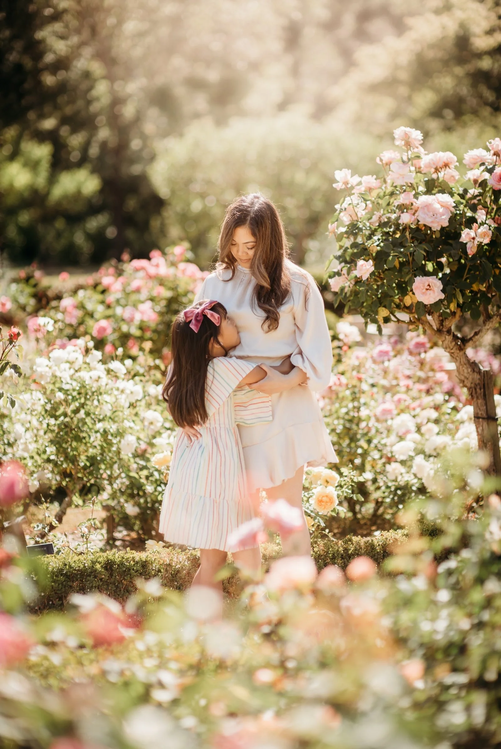 rose gardens