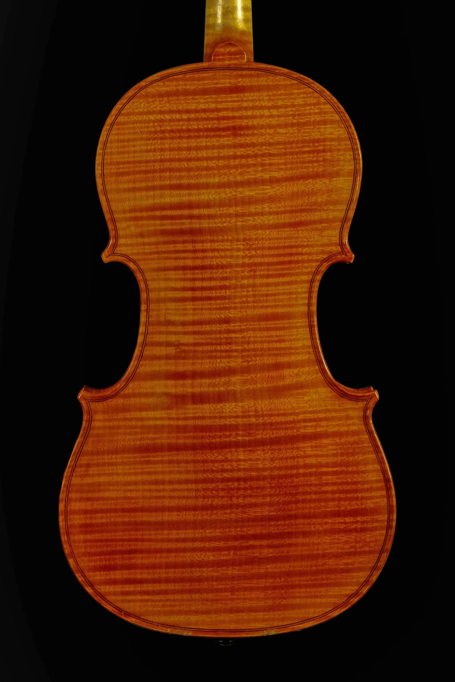 Stradivari Back