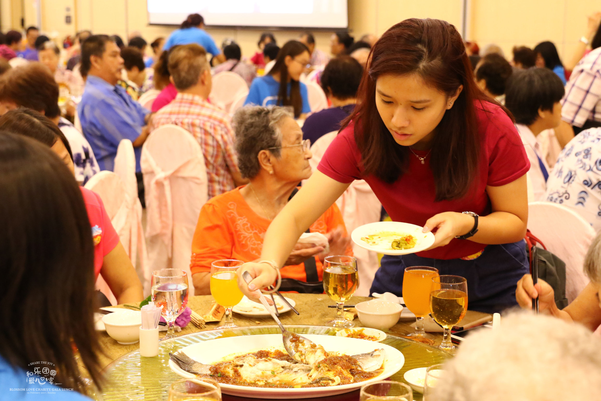 PS7_5232 copy.jpg