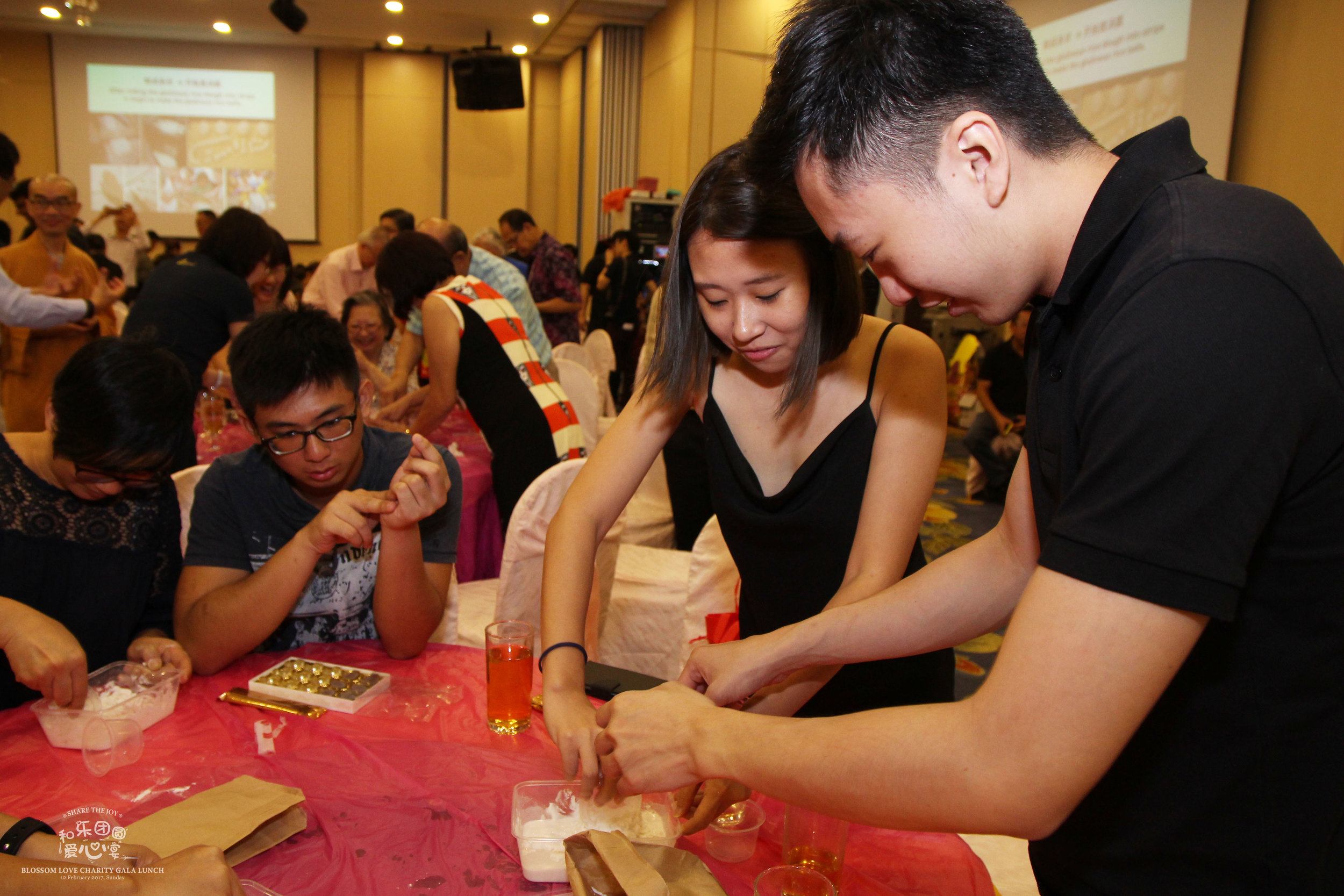 IMG_3759 copy.jpg