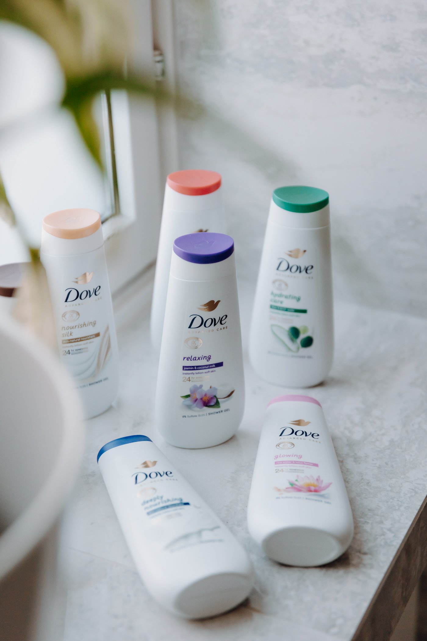 dove_kamppis-1.jpg