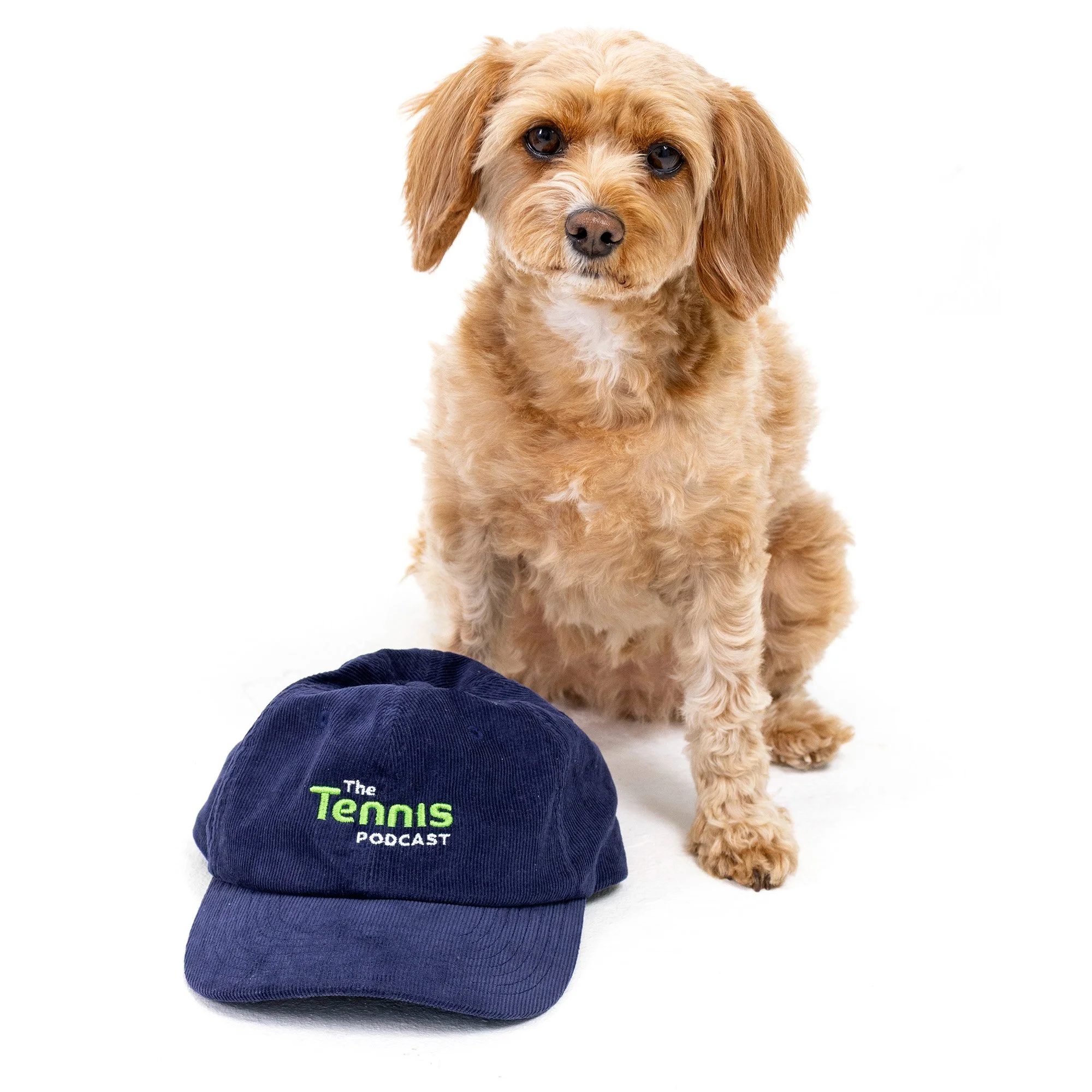 TTP-Merch-cord-cap.jpg