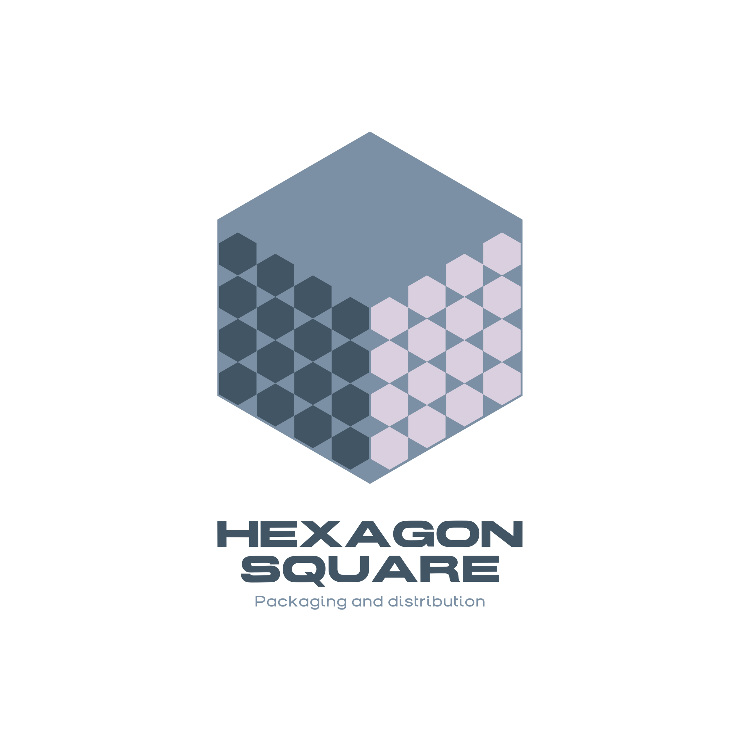 Hexagon Square _ pallete 2.png