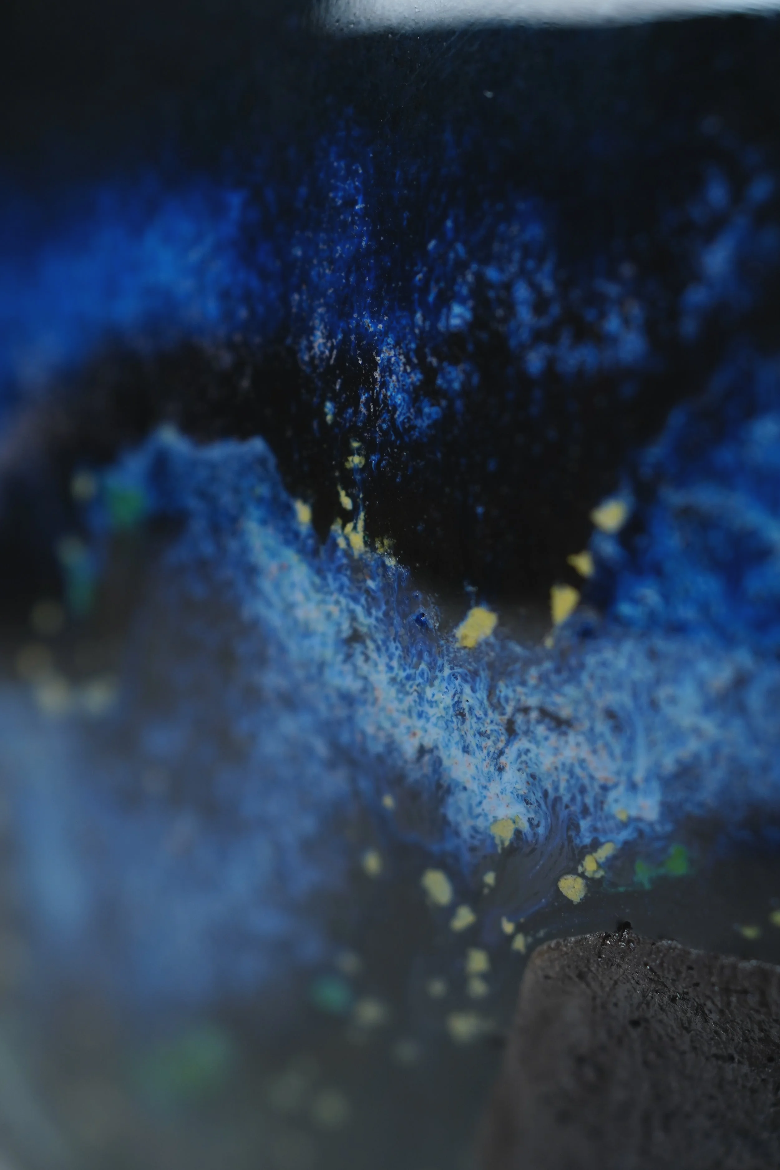 DSC01481.png