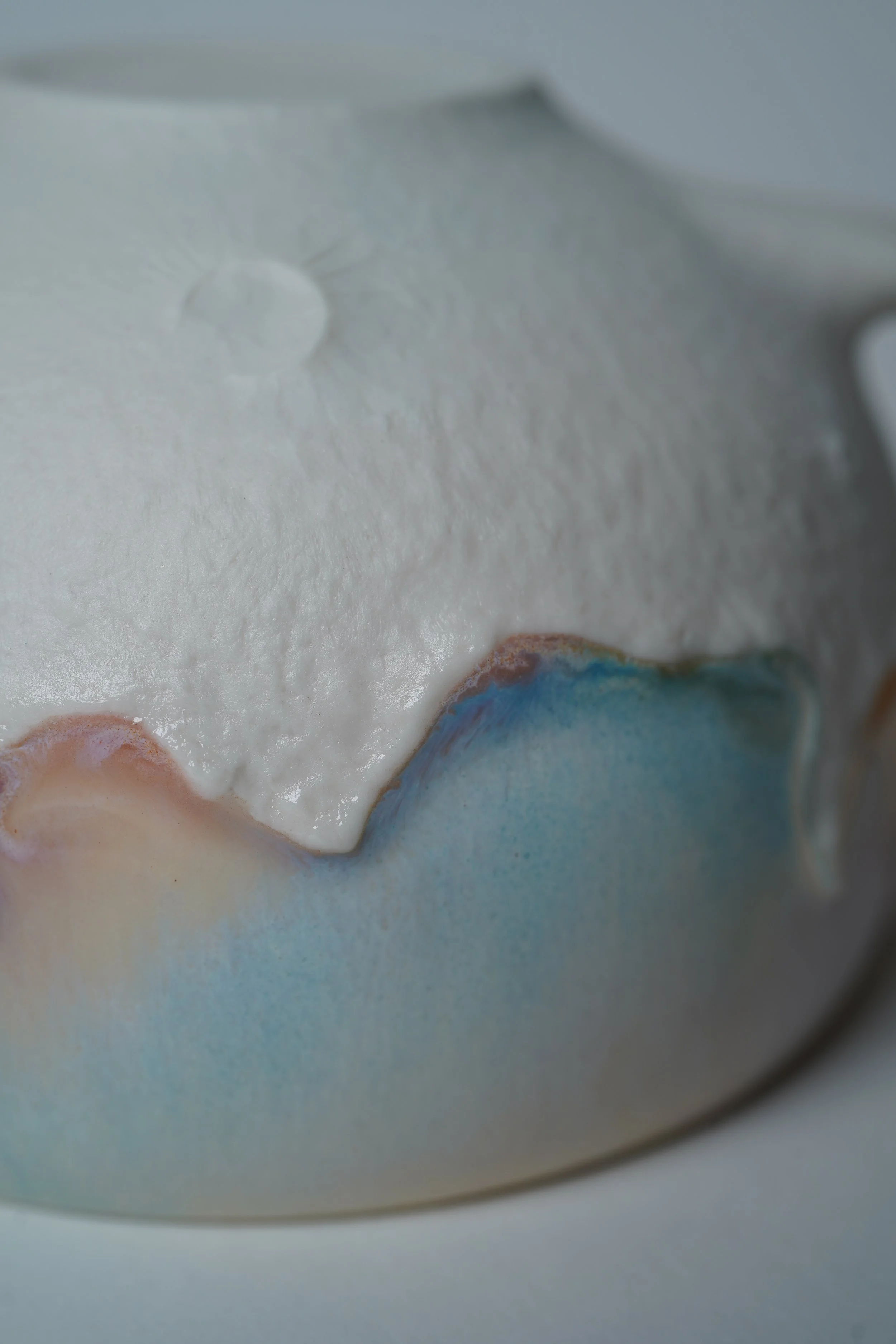 DSC06548.JPG