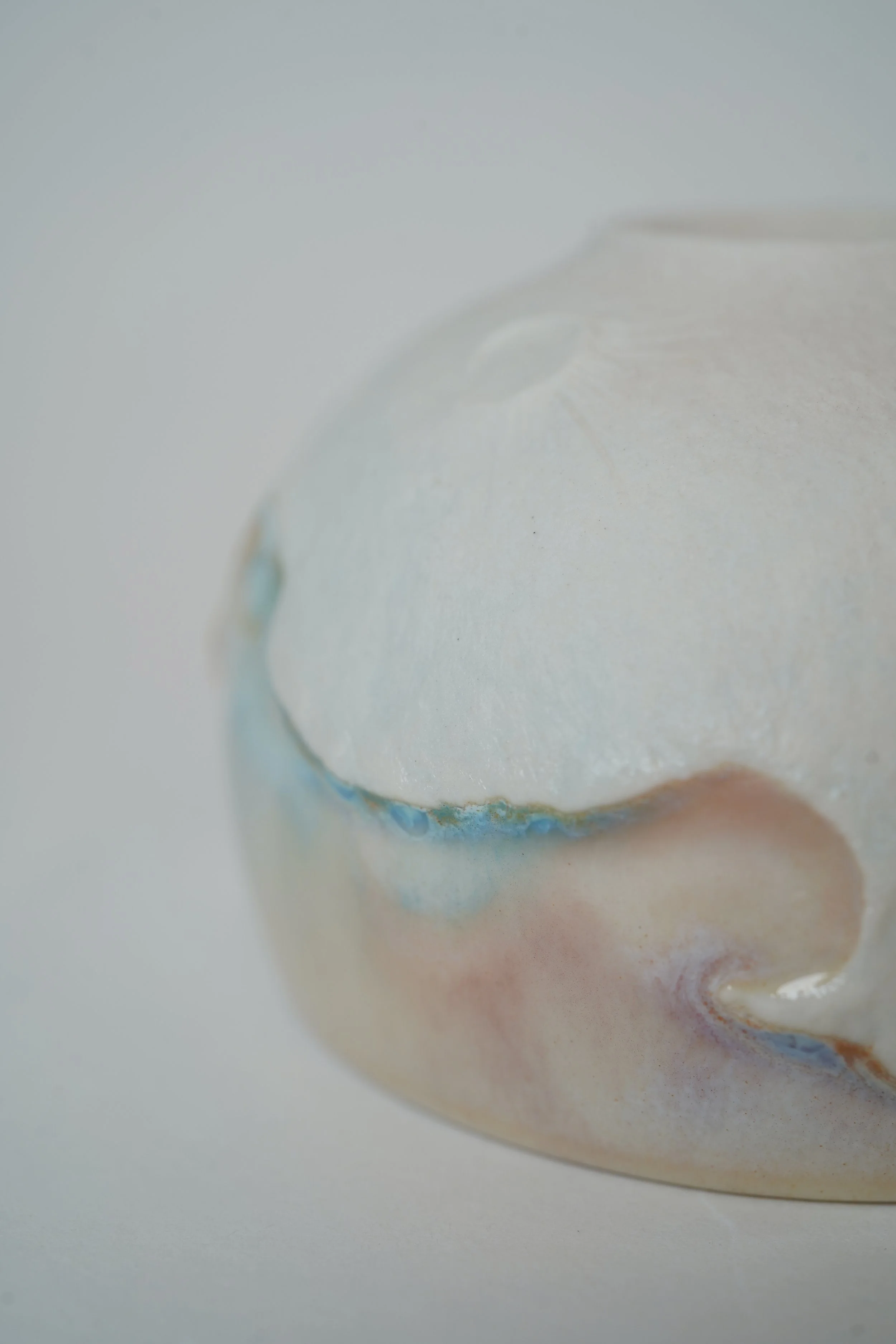 DSC05009.JPG