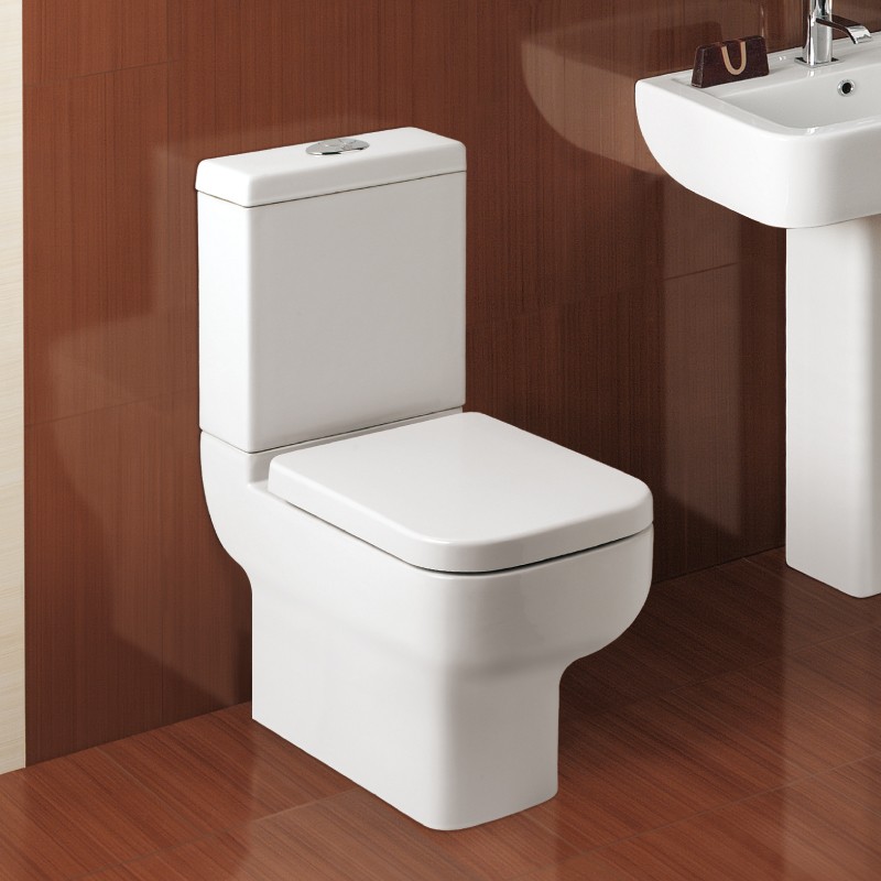 Close Coupled Toilet With Cistern