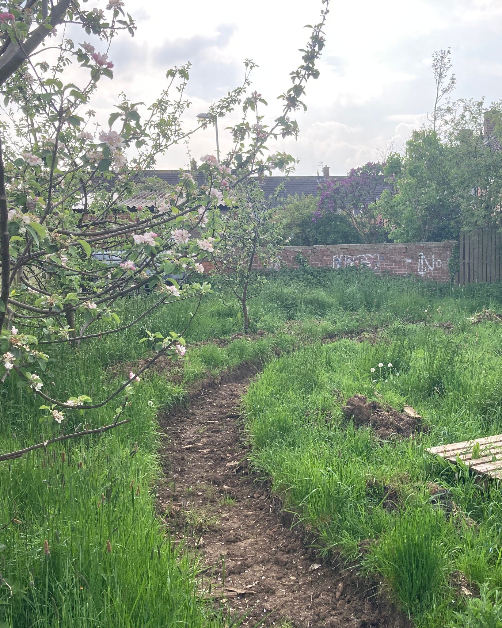 This Sunday is our #ServeTeesside Project. We're working on the Community Garden in Easterside in partnership with the @healthvillagecic. We will be clearing, trimming, litter picking, building, making, shifting, and planting. Come and join us. Kids 
